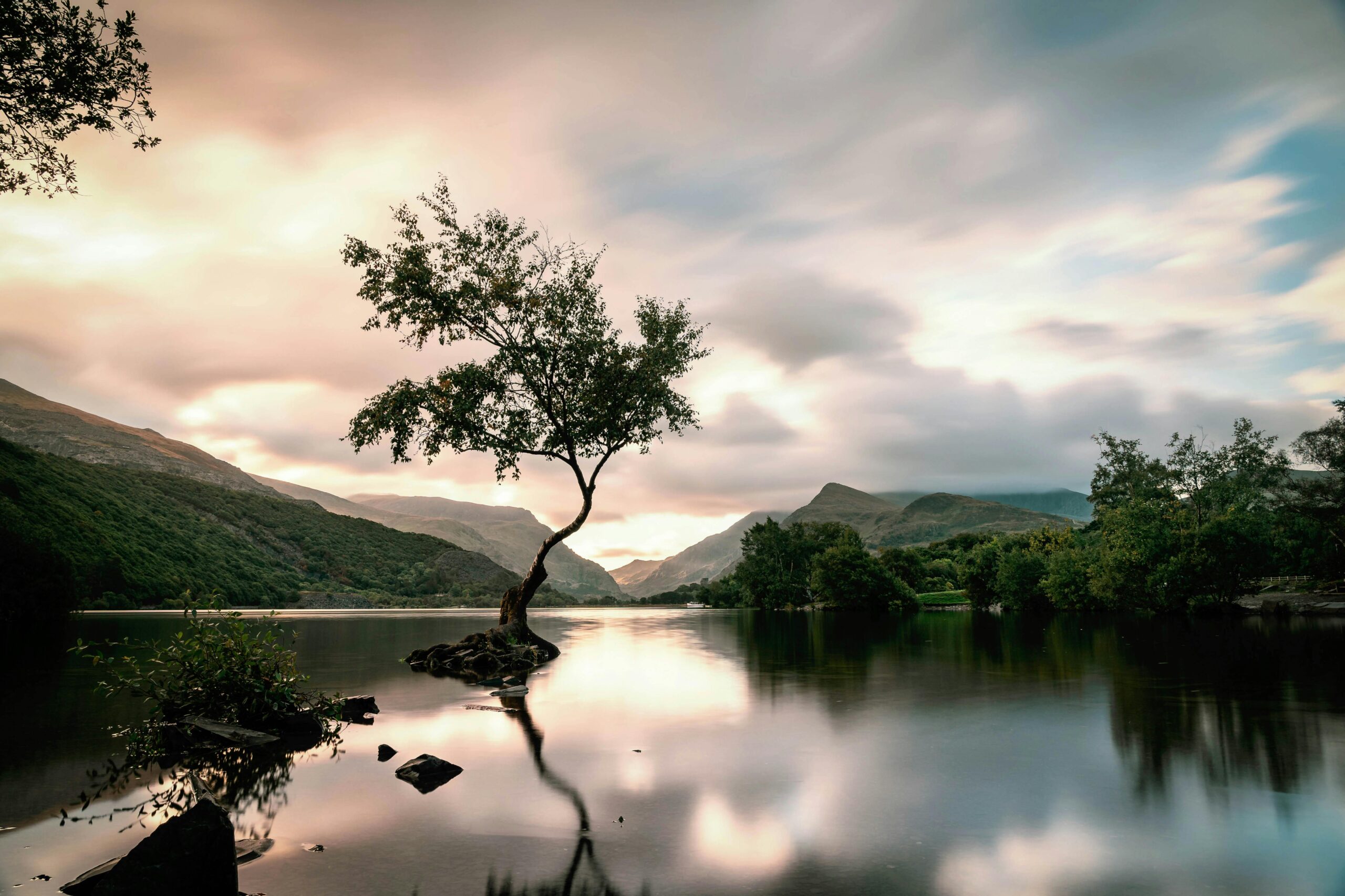Peaceful lake with a lone tree during sunset in Gwynedd, Wales. Perfect for nature lovers.